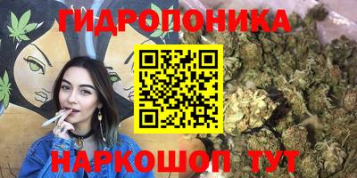 стаф Партизанск