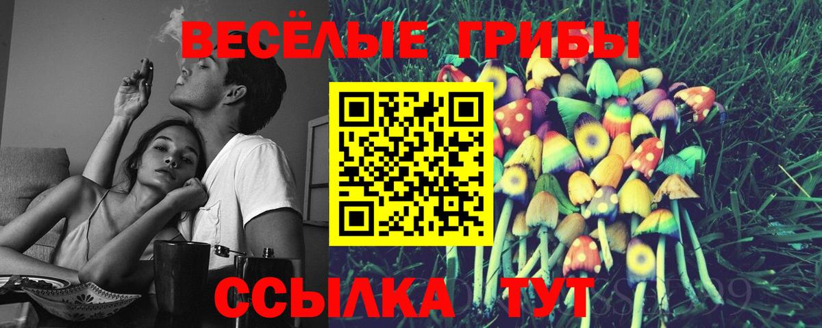 Псилоцибиновые грибы прущие грибы Сатка