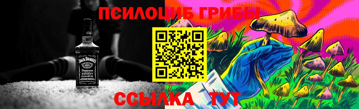 Сатка  Галлюциногенные грибы Cubensis  Вход с VPN 