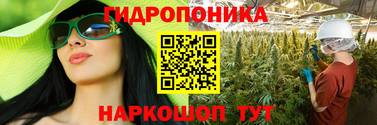 Конопля SATIVA & INDICA Сатка